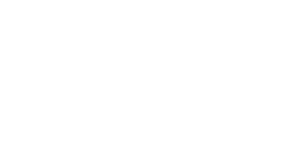 Scandinavian LDS Women Logo